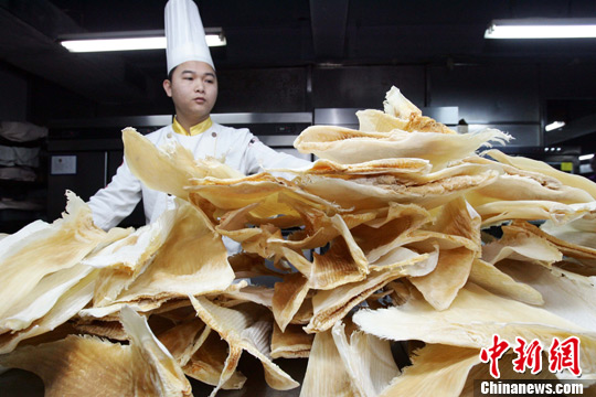 12月29日，山西太原一家餐饮企业董事长上官军乐正在展示即将免费品尝的鱼翅。中新社发 张云 摄