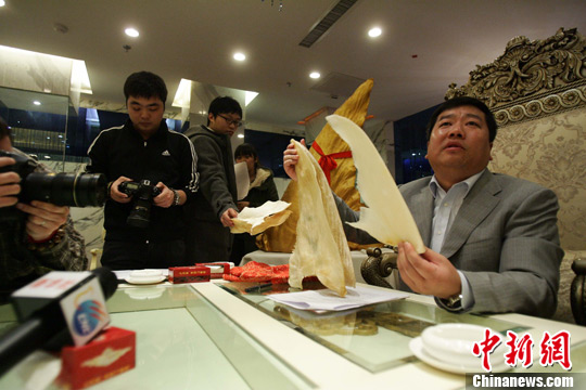 12月29日，山西太原一家餐饮企业董事长上官军乐正在展示即将免费品尝的鱼翅。中新社发 张云 摄