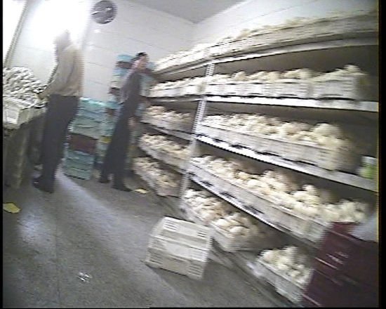 染色馒头一审宣判:盛禄食品公司三责任人获刑