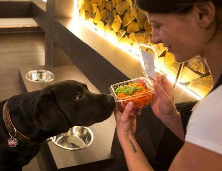 德国开设首家高档宠物餐厅被批奢侈