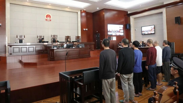 巴沙鱼商走私水产被罚超1亿元，8人获刑！