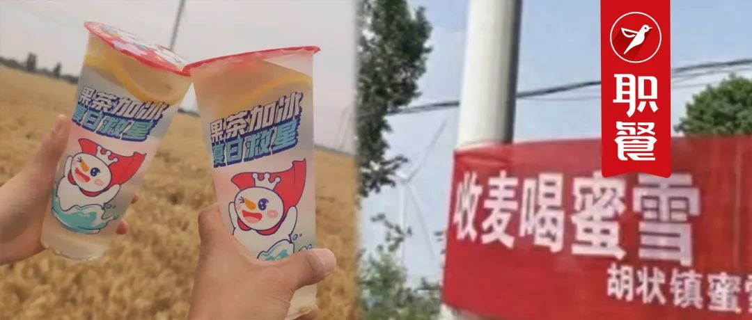 蜜雪冰城推“麦田配送”，茶饮已经卷到了田间地头？