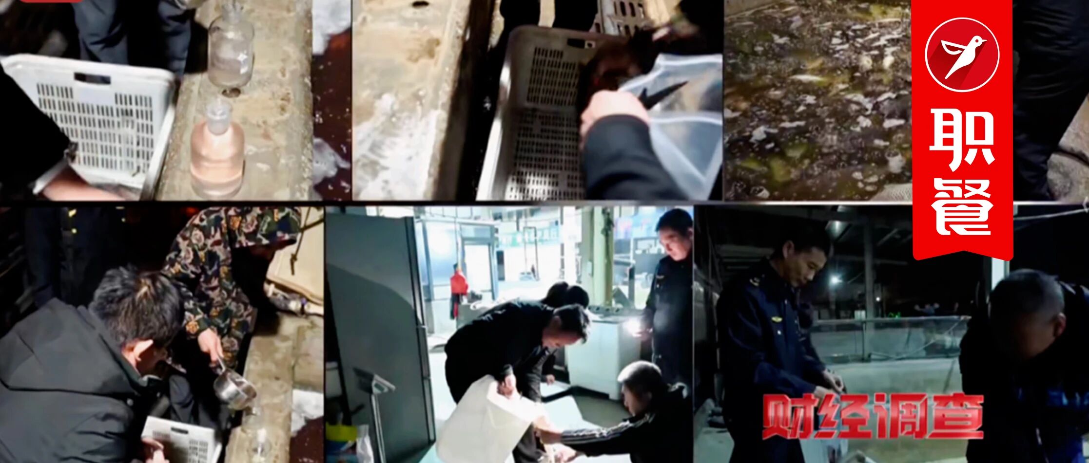 “活鱼现杀”成雷区?供应链暴雷,又要殃及餐饮人?